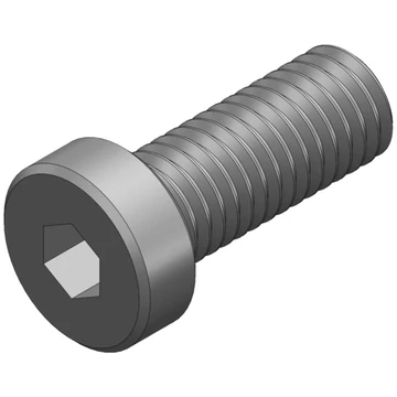 S_1199 - SCREW_DIN 7984_M8X20 BLACK THREAD LOCK ALKATRÉSZ