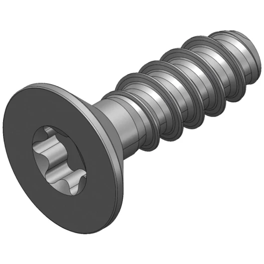 S_1590 - SCREW_WN_5454_30X10-TX10 BLACK ALKATRÉSZ