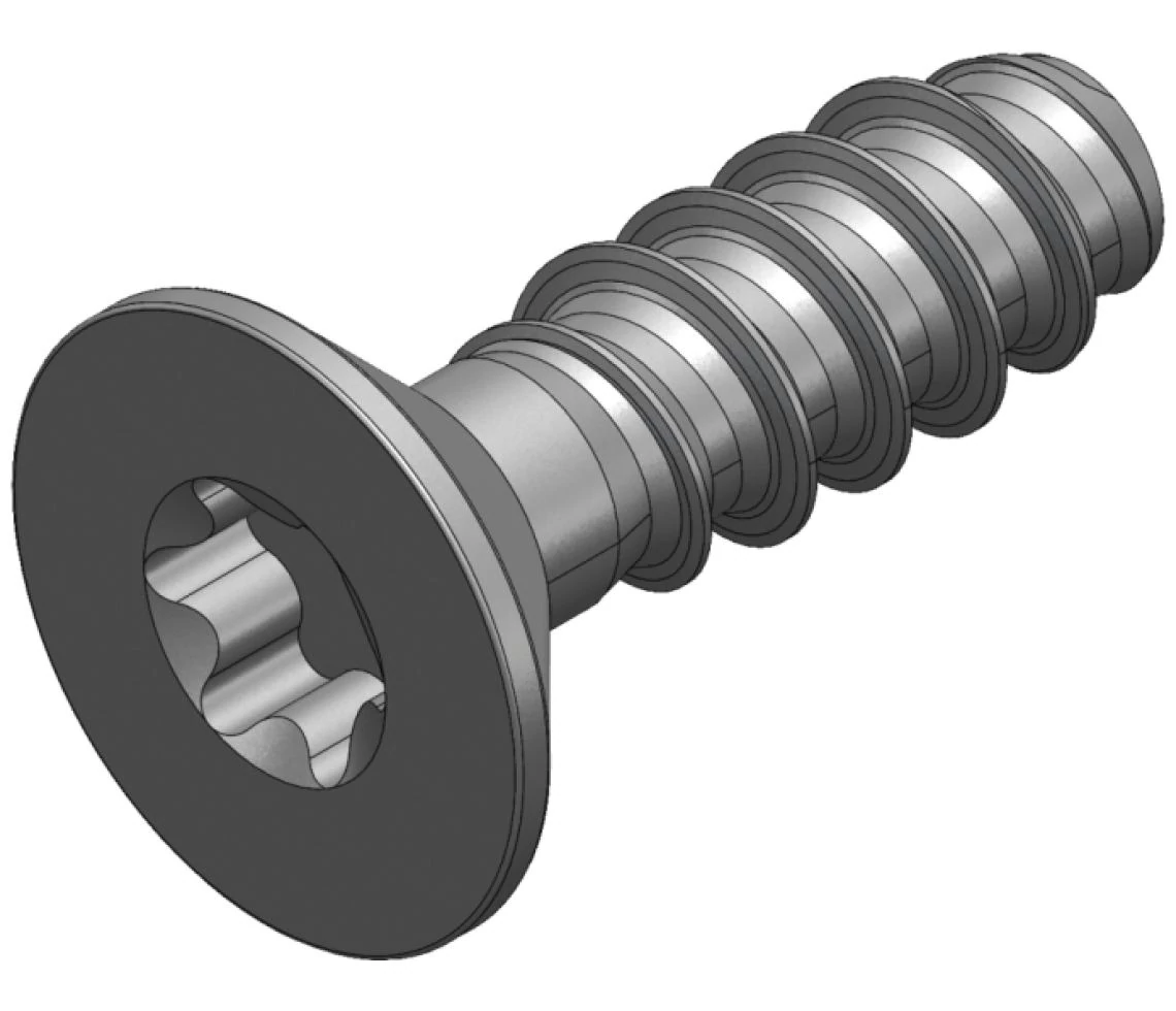 S_1590 - SCREW_WN_5454_30X10-TX10 BLACK ALKATRÉSZ